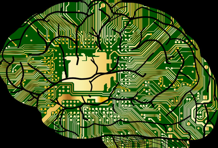 AI passport seen as key to broaden public access