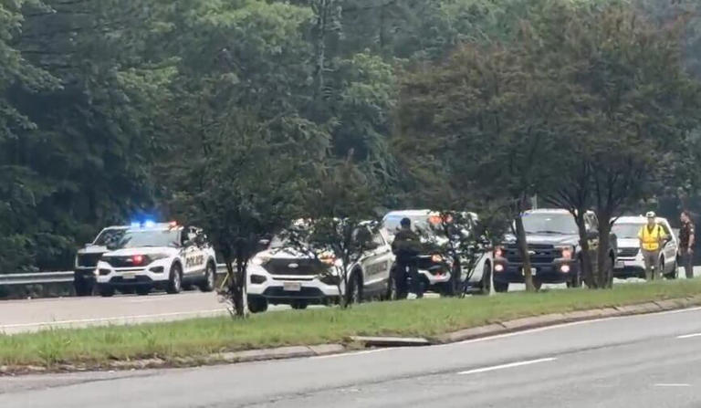 Chesterfield police investigating fatal pedestrian crash