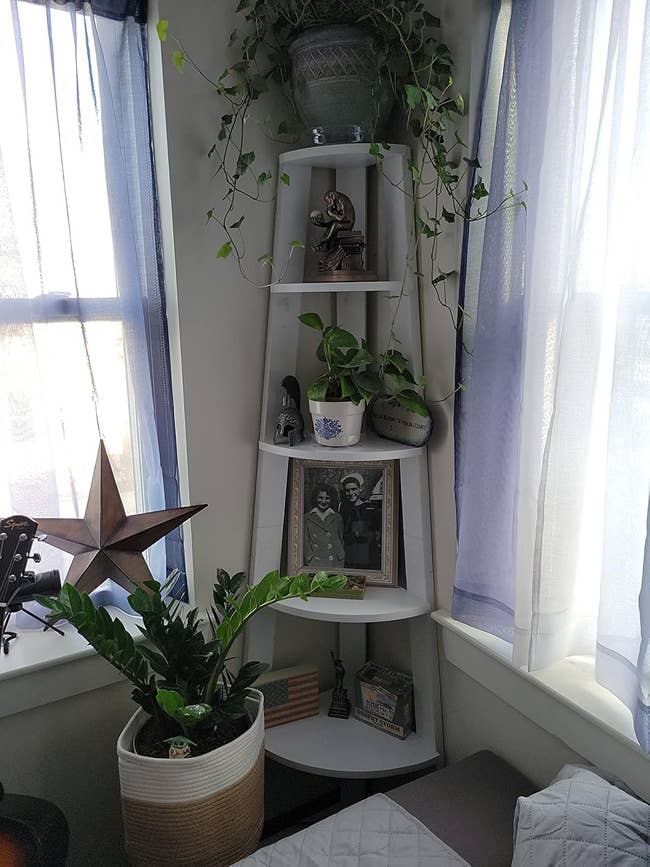 Corner shelf with plants, a framed vintage photo, decorative items, and a guitar nearby, creating a cozy, bohemian living space