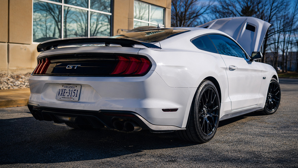 Was this Mustang GT a secret bargain?