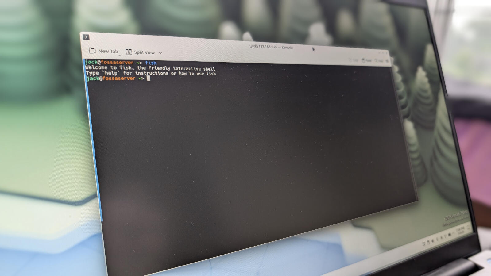 Bash vs. Fish? I've tried both Linux shells, and one makes using the ...