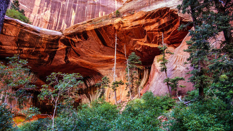 Forget the Narrows — visit Zion National Park's less-crowded hiking ...