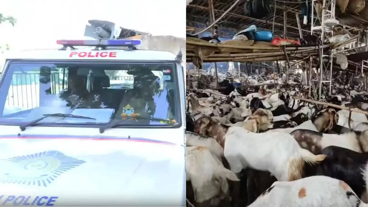 Goat sacrifice ritual called off in Goregaon society after clash ahead ...