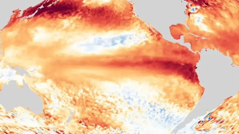 El Niño começa a se formar e vai trazer muita chuva em vários estados do Centro-Sul do Brasil | METSUL