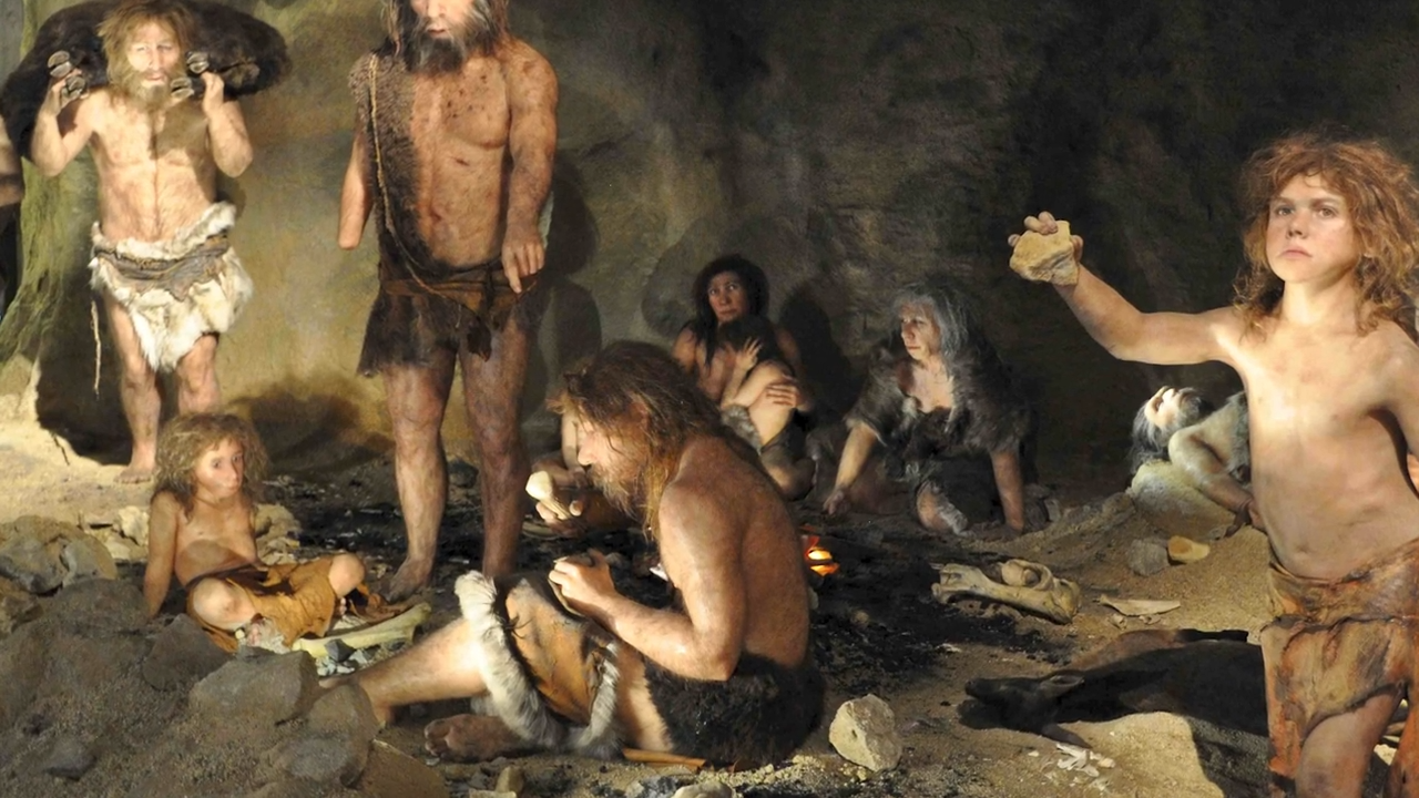 Why humans lost their fur while other apes kept theirs
