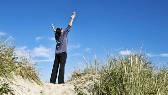 Gratitude habits that rewire your brain daily