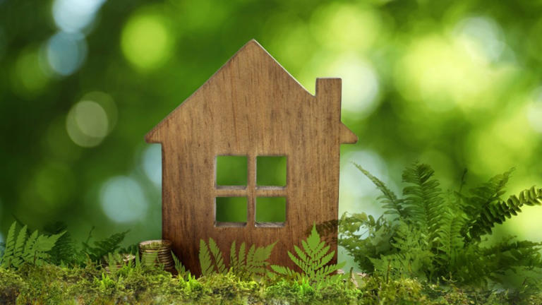 Curated visual reference: Eco Friendly Home Upgrades That Buyers Love Photo Inspiration