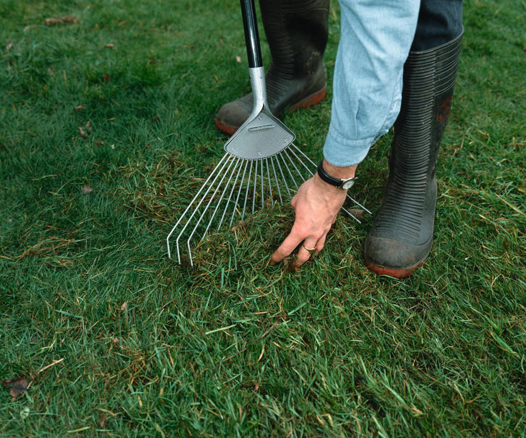 A lawn rake is a multi-purpose, budget-friendly investment to keep your ...