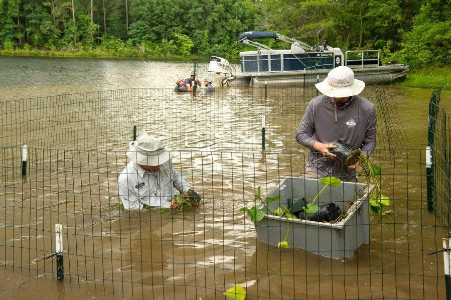 NC Wildlife Commission seeks volunteers