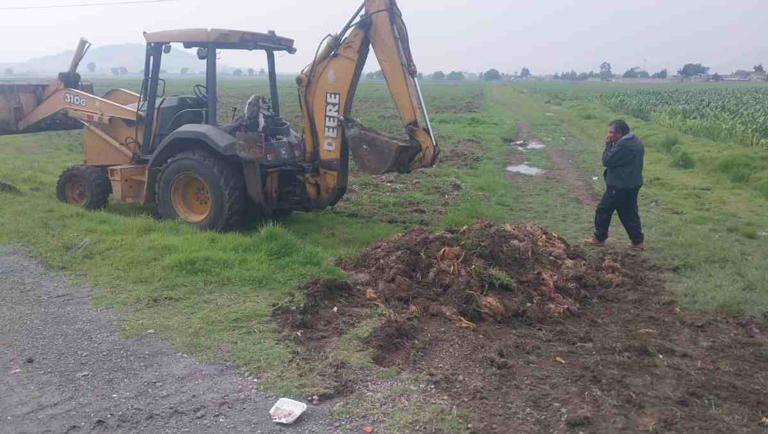 Identifican a transportistas implicados en abandono de pollo podrido en ...