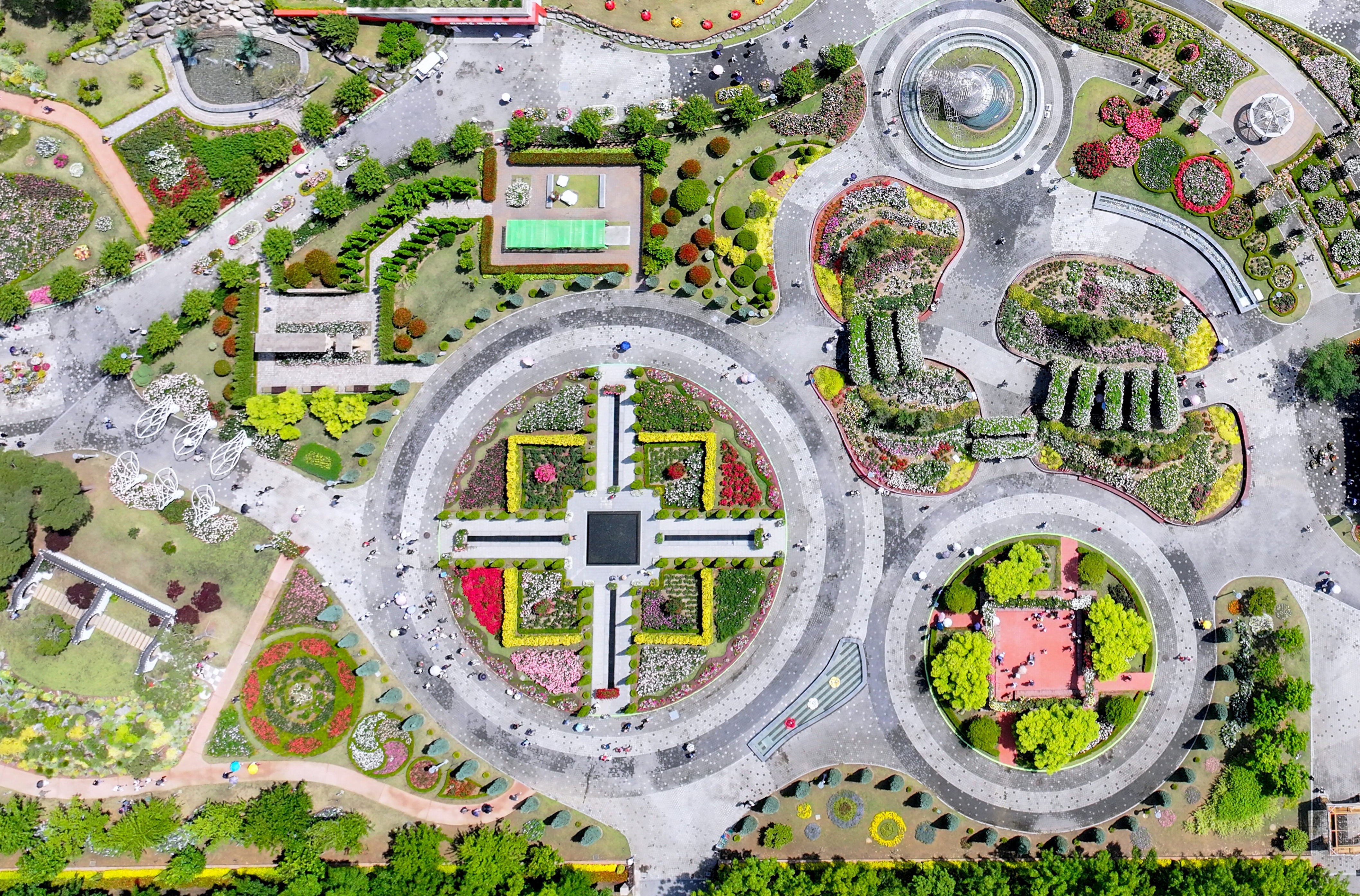 Gokseong Rose Festival sky view reveals geometric patterns