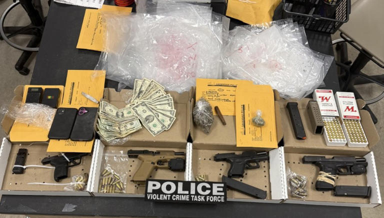 Savannah police task force seizes guns, drugs after traffic stop