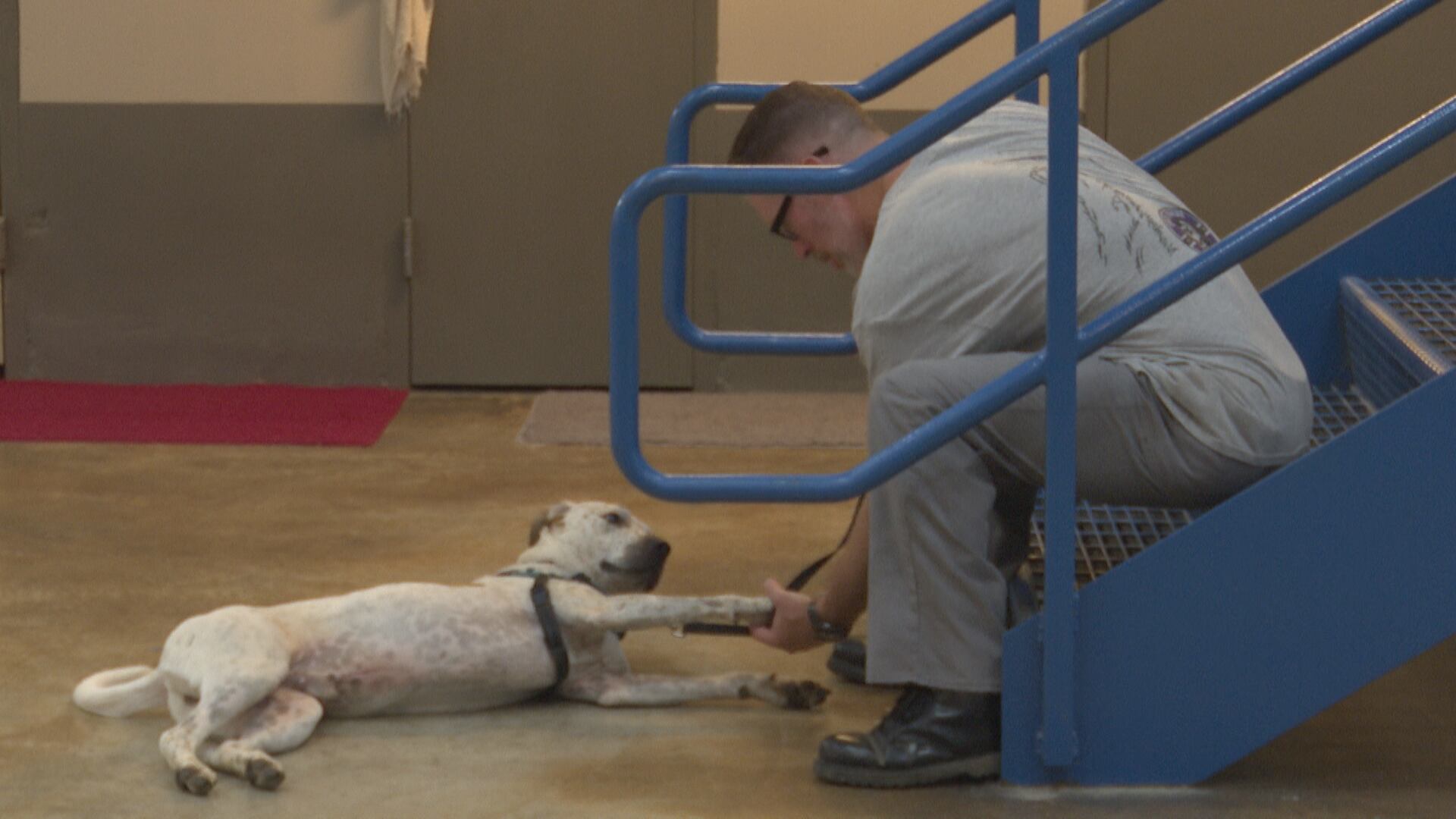 Texas County prison inmates train dogs for adoption through Rescue One