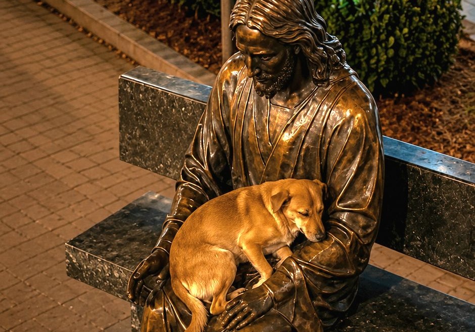 Il cane randagio torna ogni notte sulla stessa statua e trova ...
