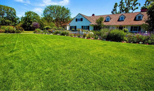 Grass will stay green and hydrated on hot days if gardeners do easy ...