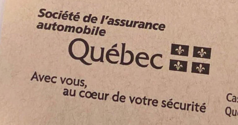Voici combien vous économiserez sur vos plaques d’immatriculation cette ...
