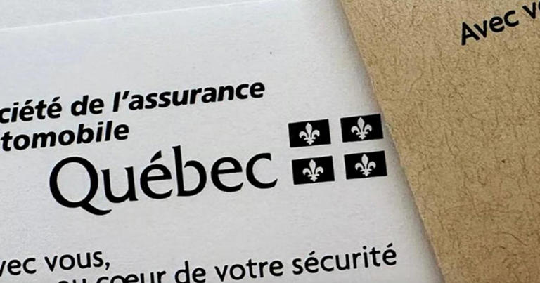 Voici combien vous économiserez sur vos plaques d’immatriculation cette ...