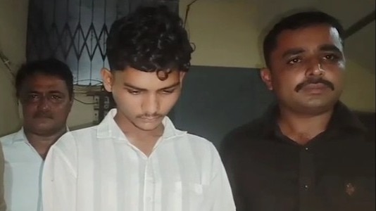 Gujarat man kills wife 3 months into marriage, arrested after ...