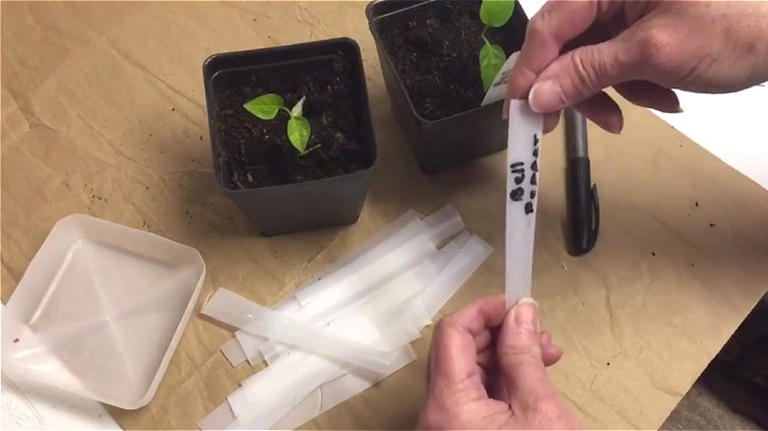 Use old milk jugs to DIY garden tags on the cheap