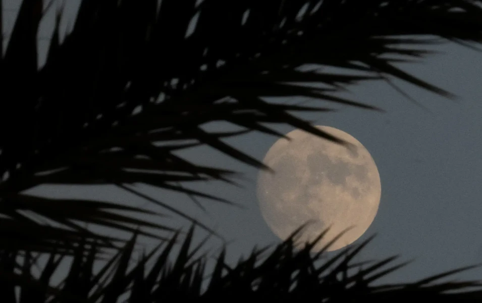 Scorpio moon fuels emotional intensity and power shifts