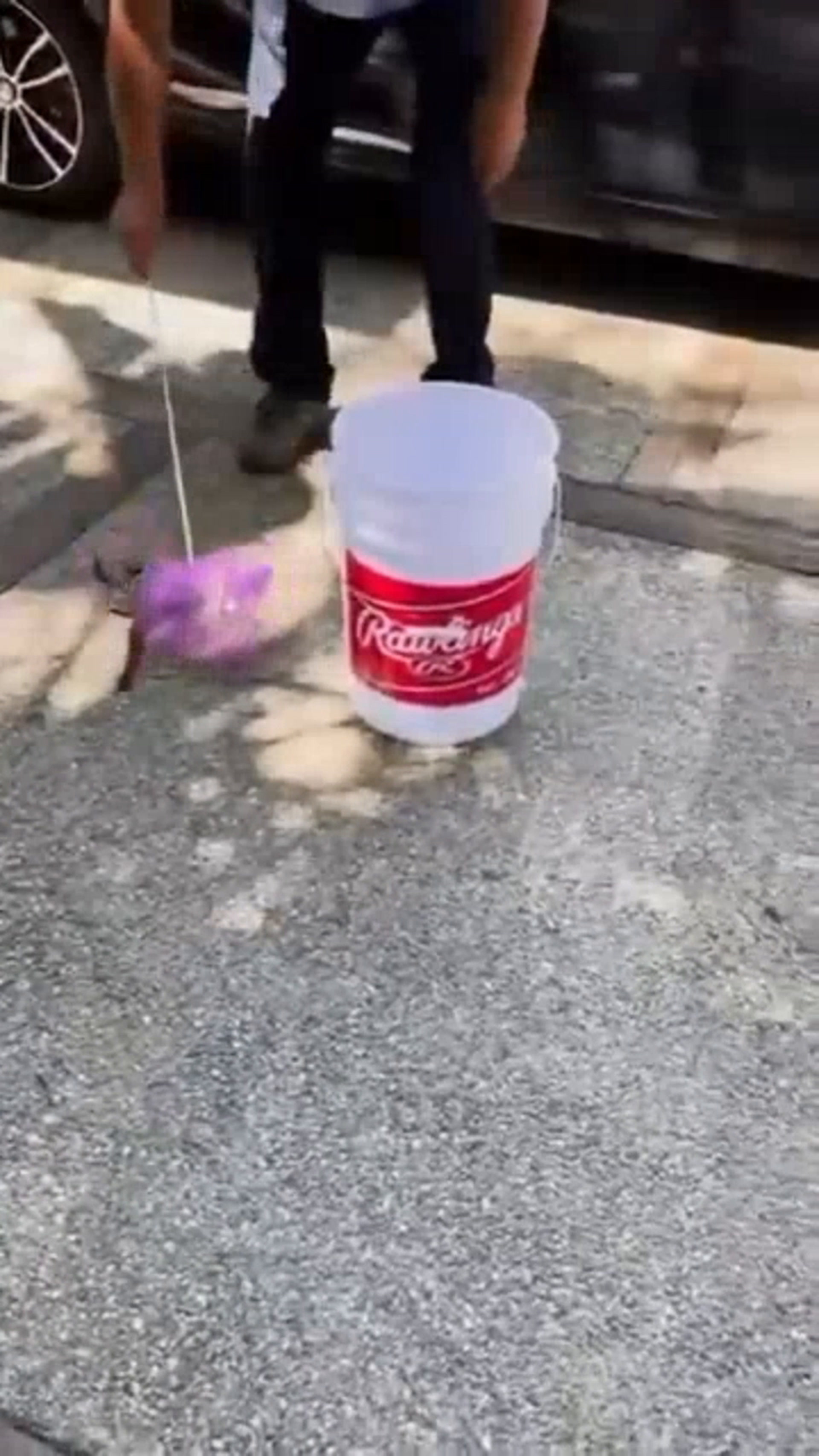 RFK Jr catches rattlesnake in new video responding to snake-wrangling ...