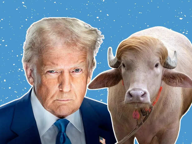 Move over memes: 5 weird things that accidentally resemble Donald Trump