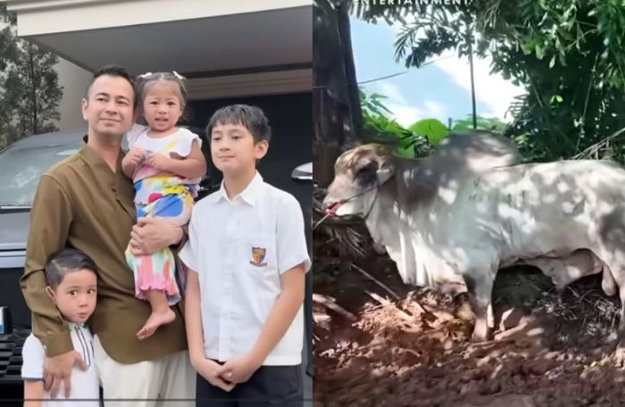 Raffi Ahmad naik haji, Rafathar gantikan peran ayahnya terima 6 sapi ...