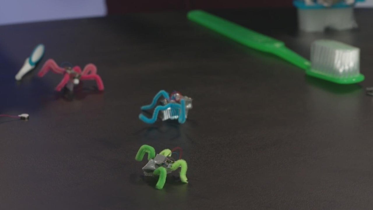 Preview for summer camp season at Michigan Science Center