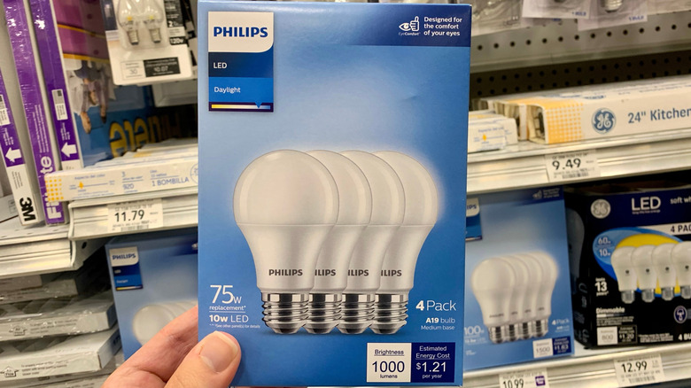 A19 Vs. E26 Light Bulbs: What The Numbers Mean & How They're Different ...