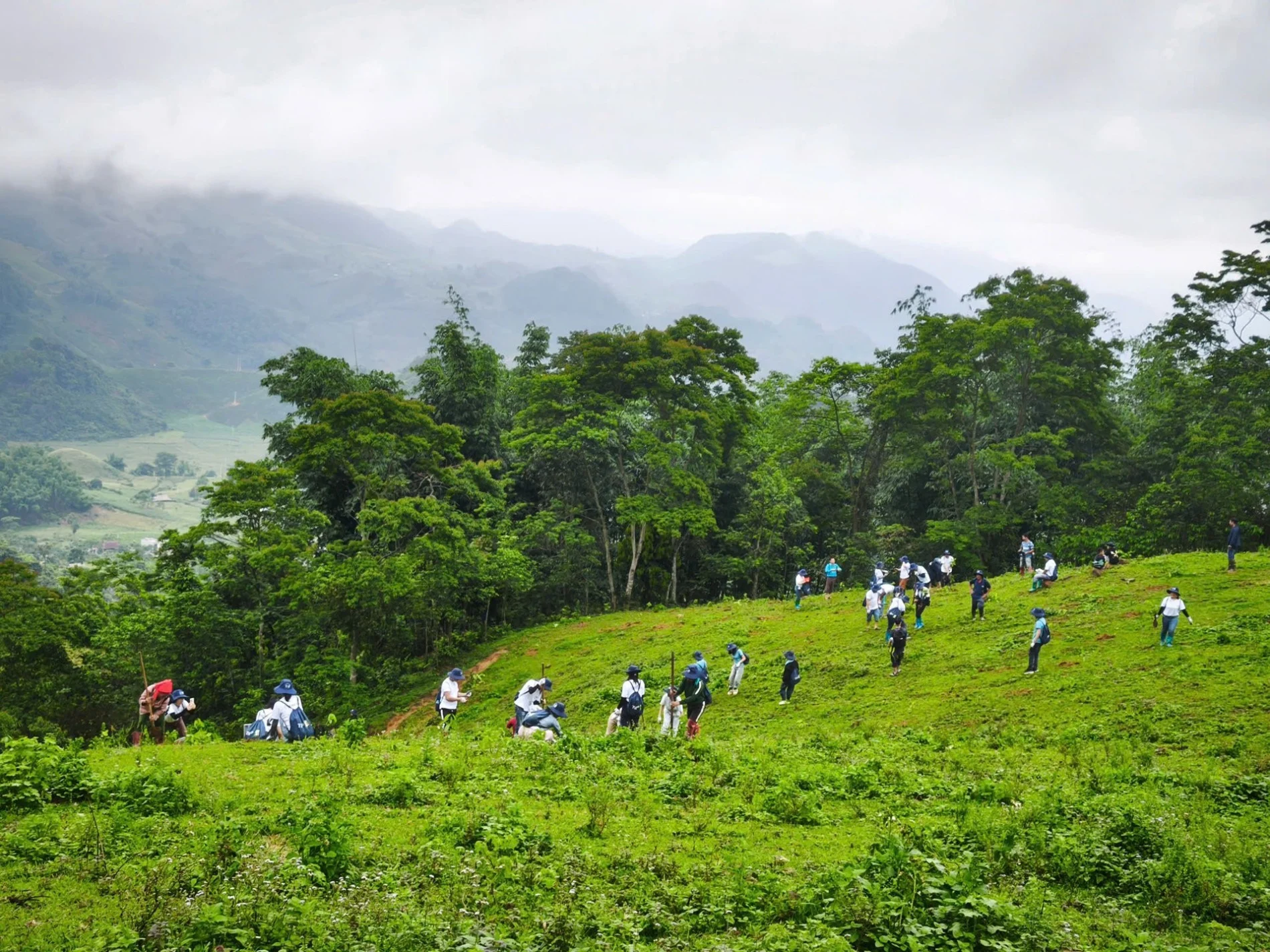 Son La launches forest carbon development project with international ...