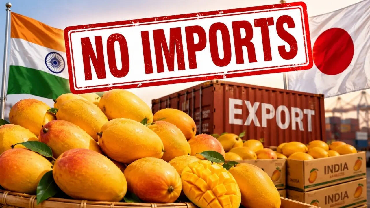 Setback for Indian mango exports! Why Japan has stopped imports of ...