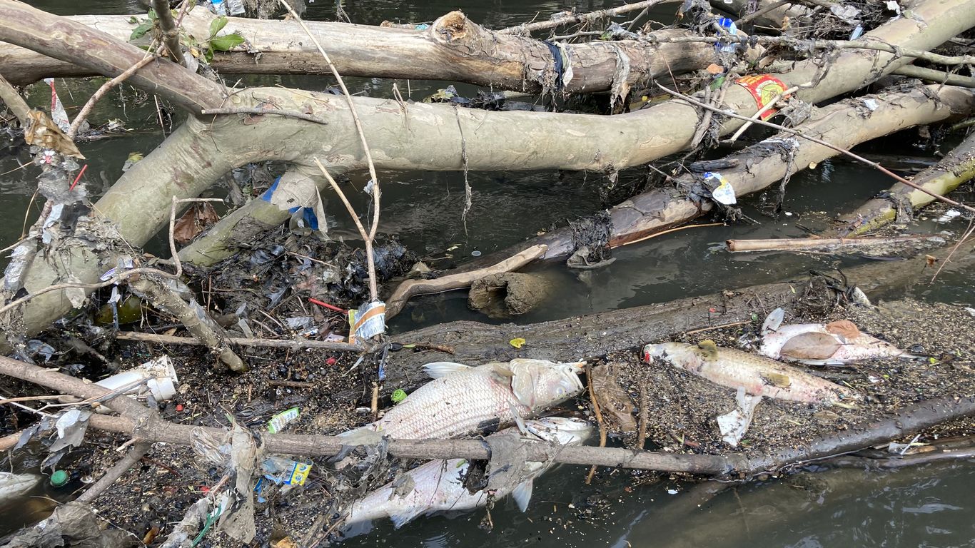 What to know about Atlanta's Chattahoochee fish kill
