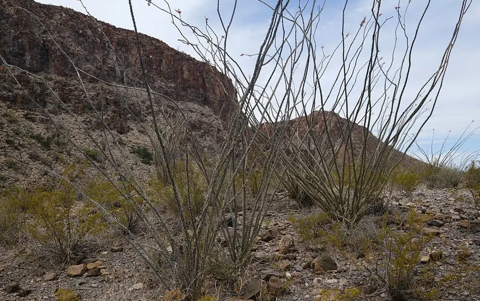 Texas acquires 54,000 acres for second-largest state park
