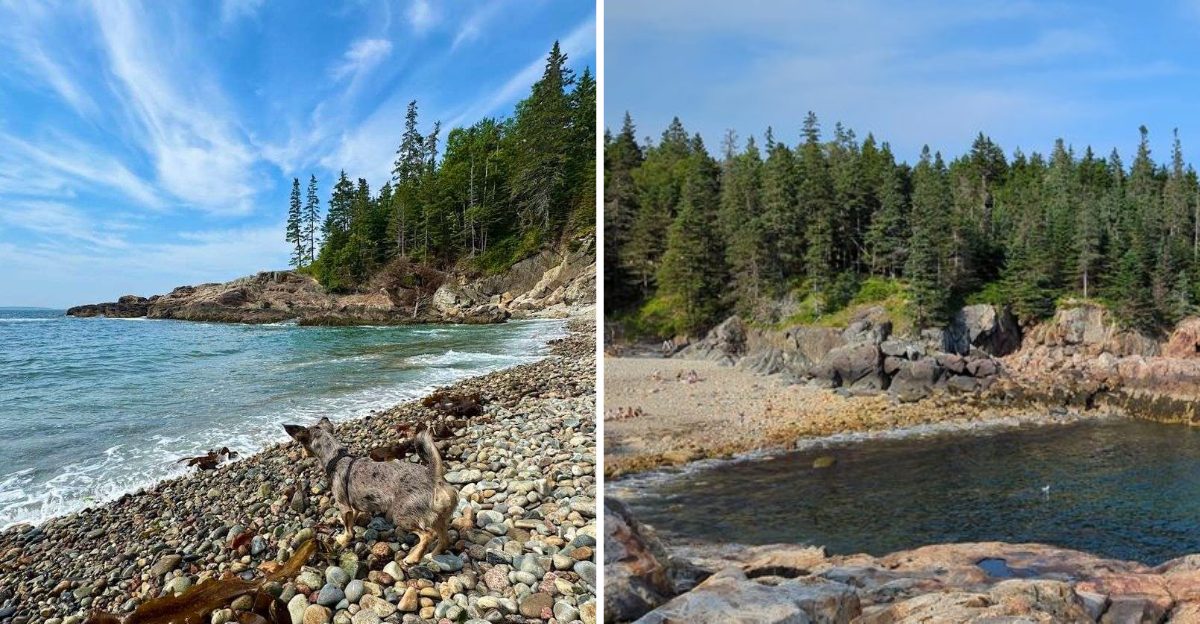 This Maine trail is beautiful but the real magic happens when you stop ...