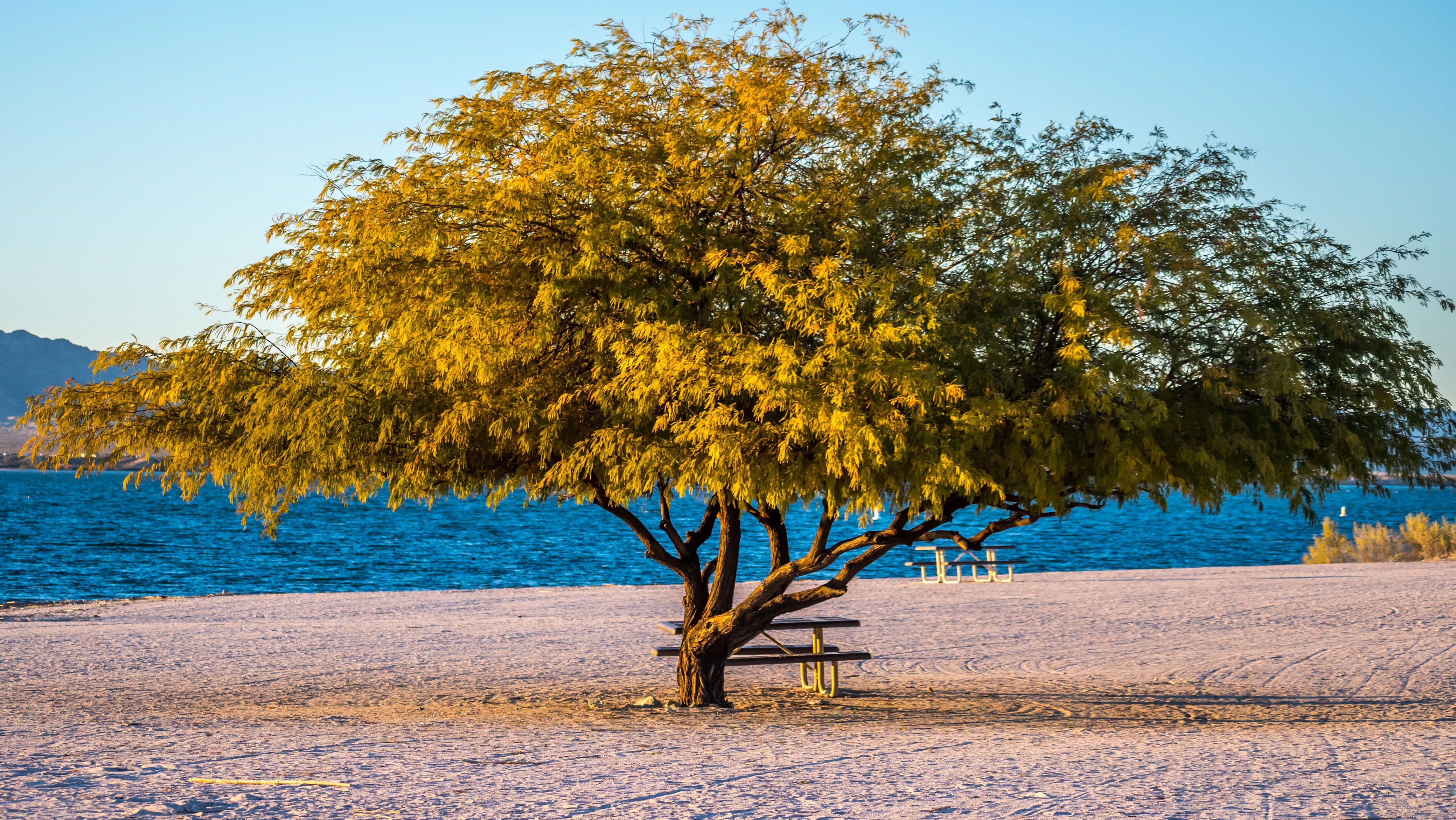 The most beautiful state parks in Arizona for every type of adventure