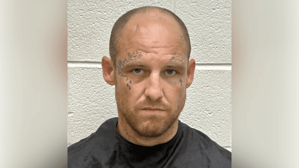 Convicted felon charged with common law murder in fatal shooting ...