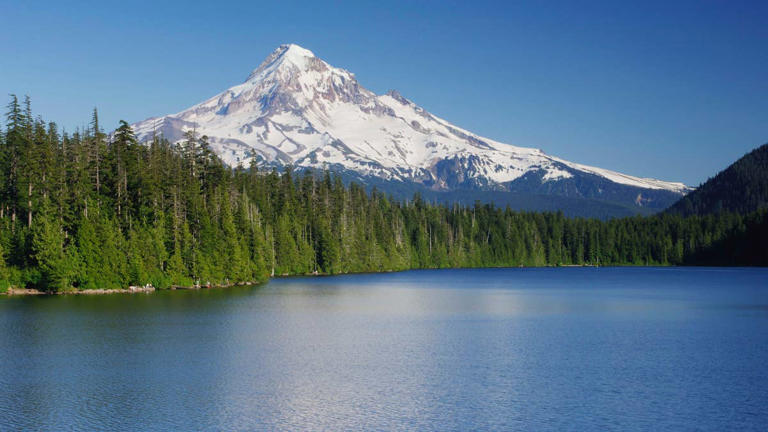 Highly anticipated Mt. Hood gondola project canceled