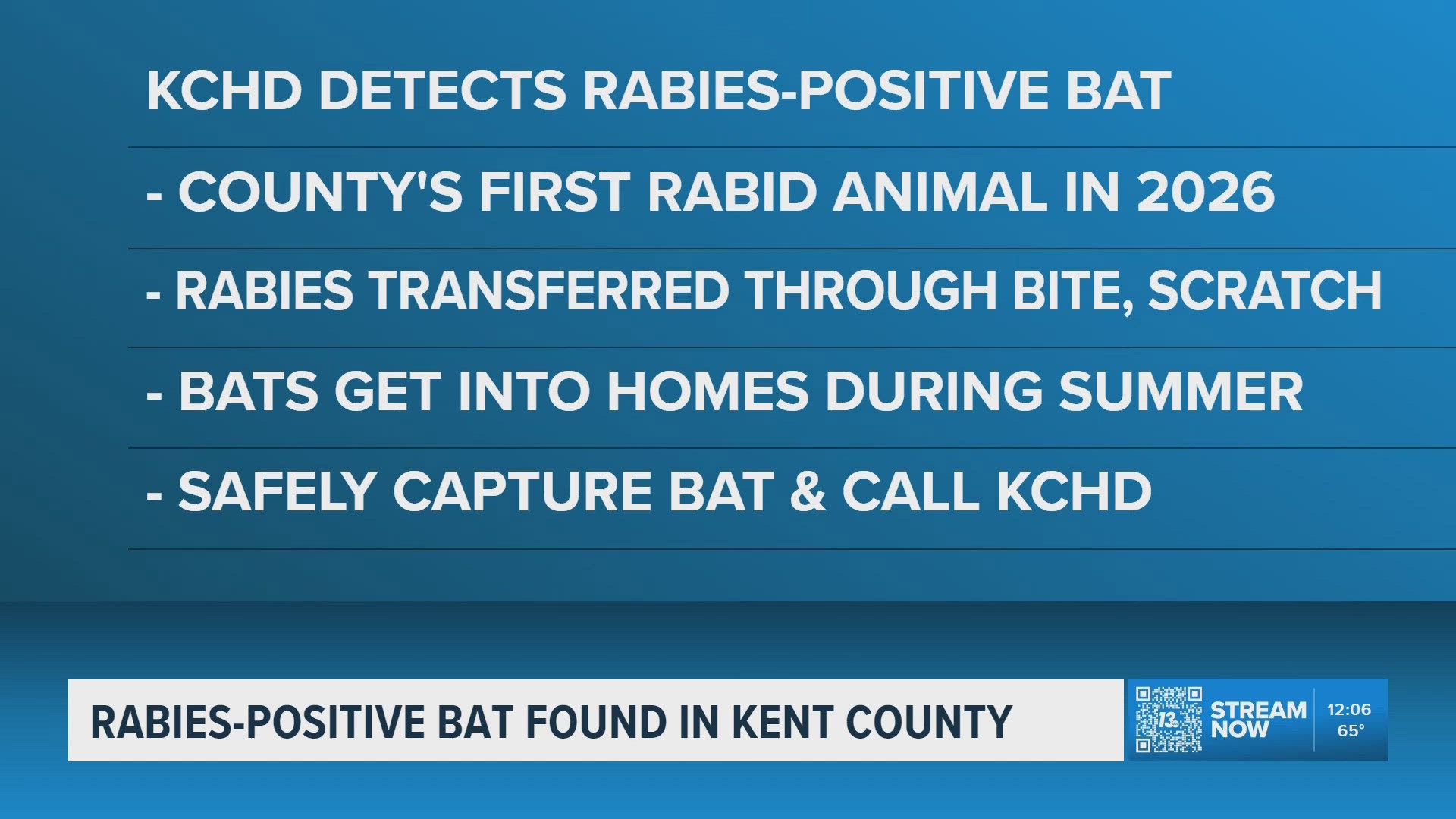Rabies-positive bat found in Kent County