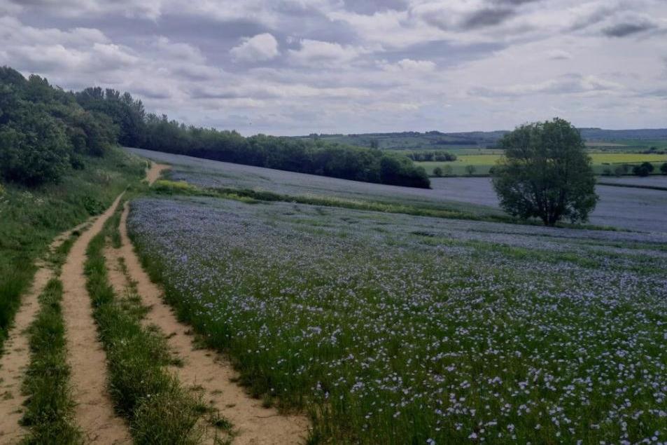 Celebrate 50th anniversary of the Viking Way with third 'Walk of the Month'