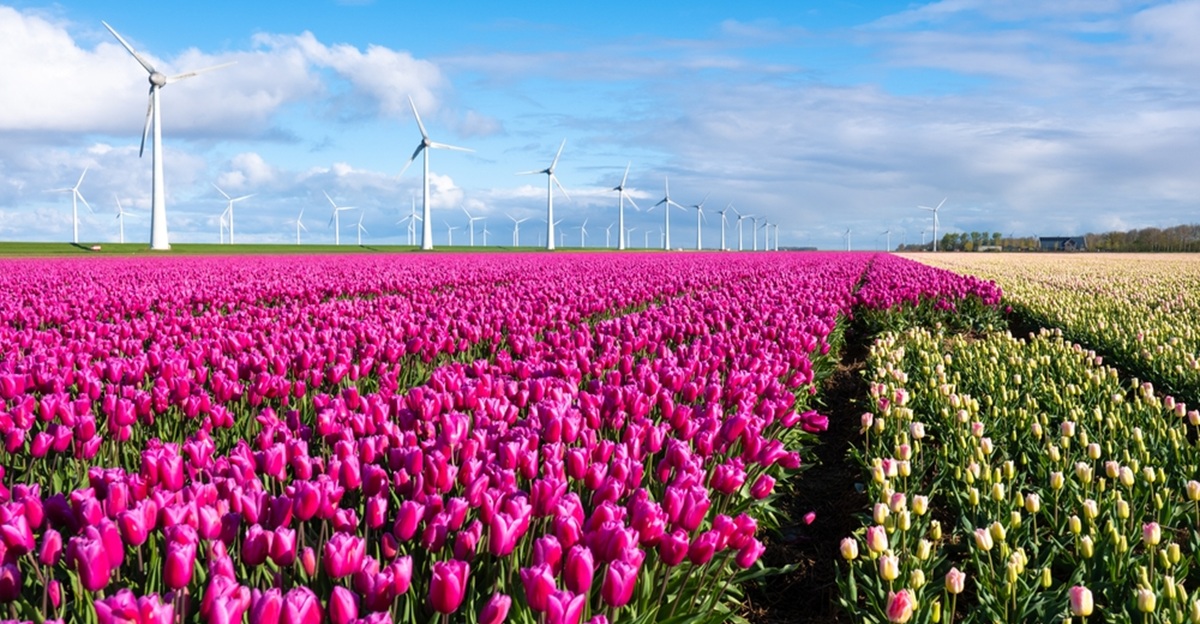 15 places around the world that are especially beautiful in late spring