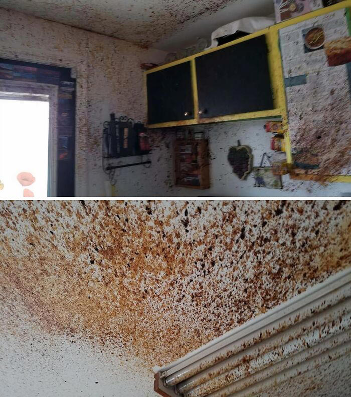 I’m never going to recover from this: 73 hilariously bad kitchen fails