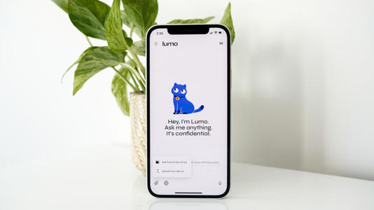 Lumo from Proton is one of the few private online-only AI chatbots.