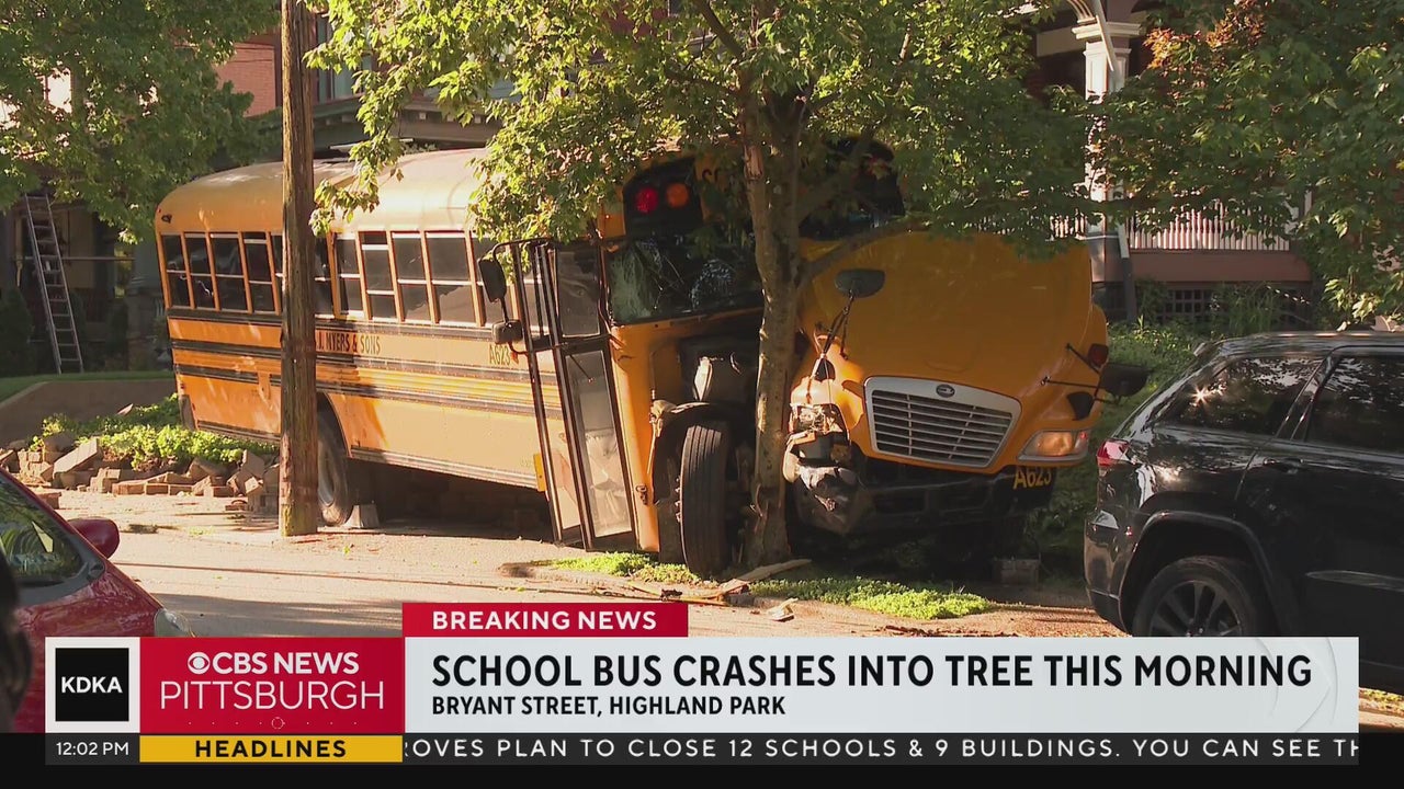 School bus crashes into tree in Highland Park