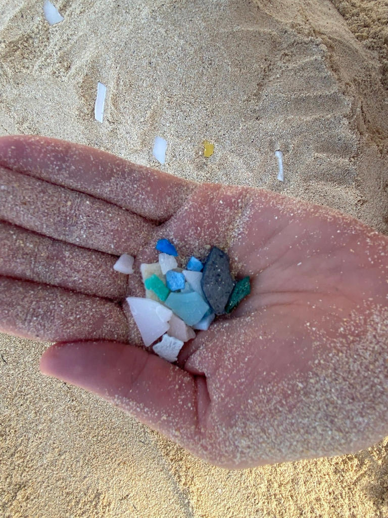 Microplastics may be weakening the ocean’s ability to fight climate change