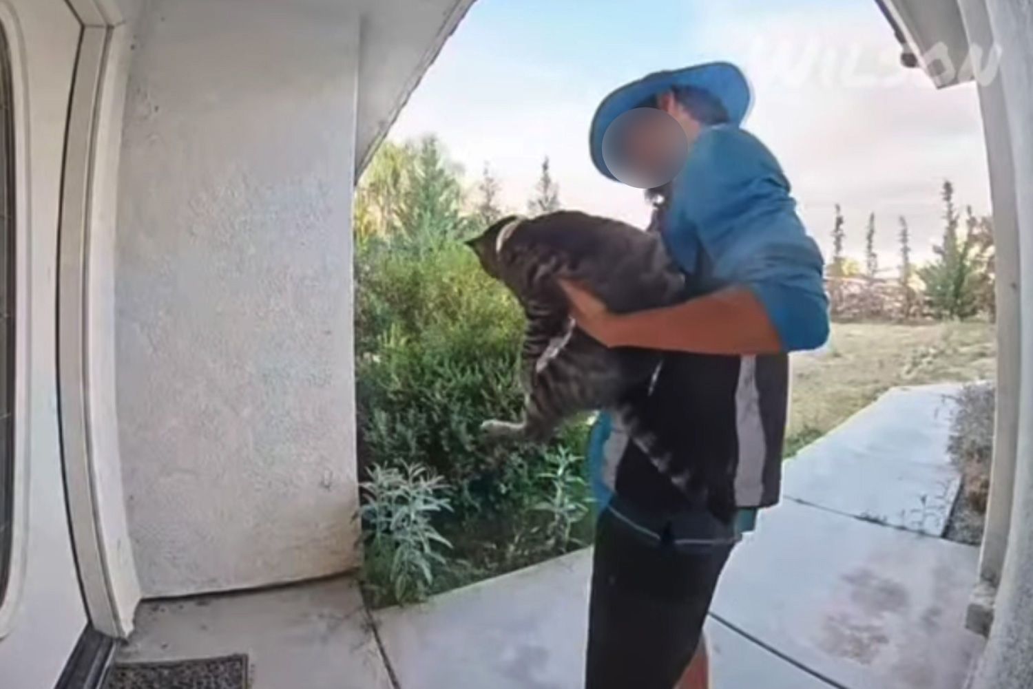 Amazon driver caught on camera taking family’s cat during a delivery