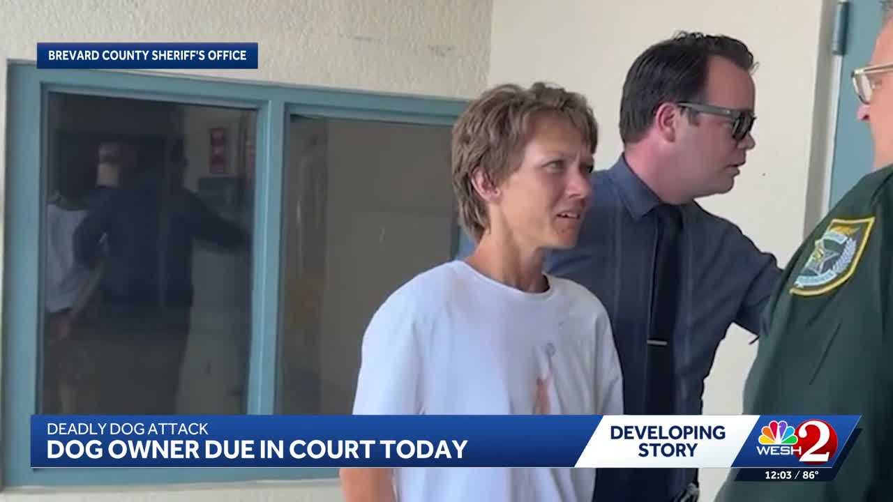 Owner of dogs in fatal Brevard County attack jailed without bond