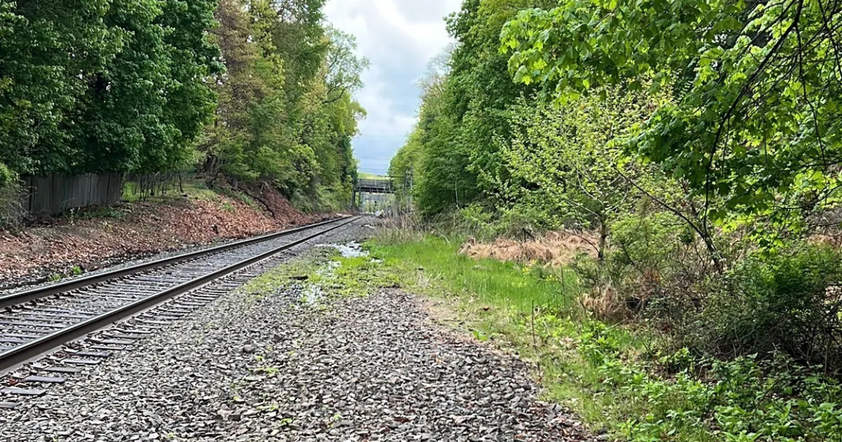 Skip the hike - this New Jersey trail is even better