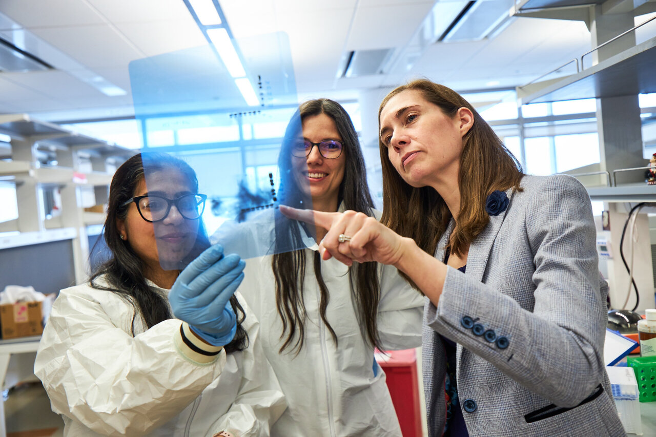 Scientists identify metabolic target to overcome chemotherapy ...