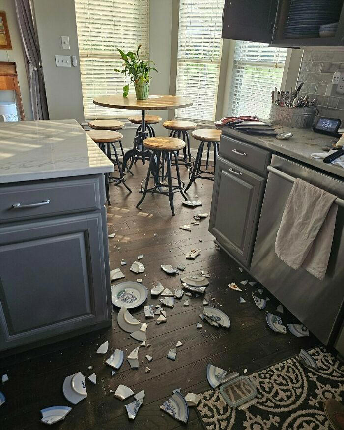 I’m never going to recover from this: 73 hilariously bad kitchen fails