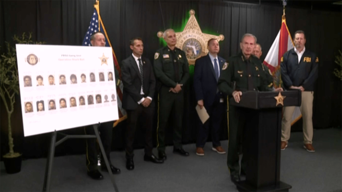 Violent Palm Beach gang dismantled in 'Operation Shark Bait,' sheriff says